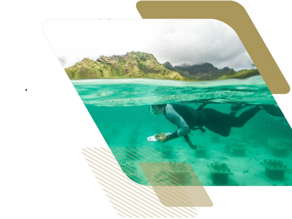 Stylized image with GT branding for BioSci
