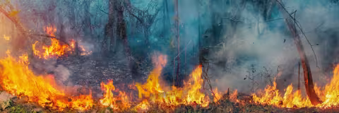 Fires in Africa